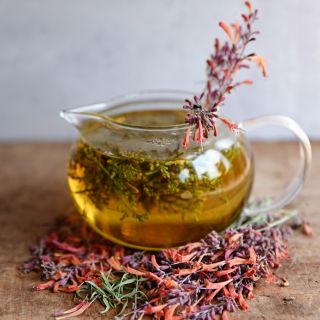 A teapot full of Apache Sunset Agastache with blooms around the pot on wood.