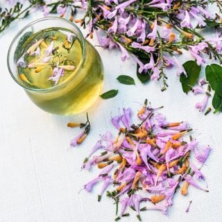 Lavender Martini Agastache tea surrounded by flowers and leaves on a linen background.