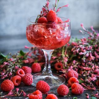 Raspberry Daiquiri Agastache with a crushed ice agastache and raspberry nonalcoholic drink.