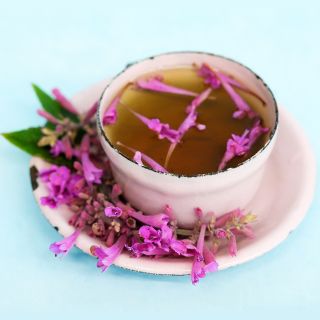 Texas Hummingbird Mint 'Heather Queen' Agastache tea in a little pink tea cup on a light blue background.