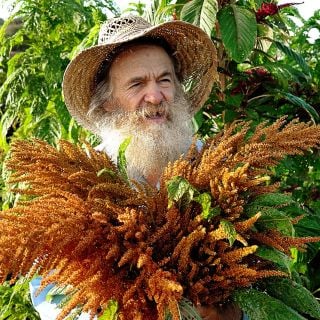 Dave poses with a giant bouquet of Golden Giant Amaranth in the Baker Creek trial gardens.