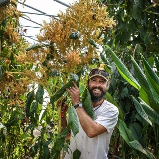 A smiling Baker Creek horticultural expert holds up freshly harvested Golden Giant Amaranth.
