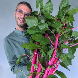Jere Gettle smiles while holding a giant bunch of Pink Beauty Amaranth against a grey wall.