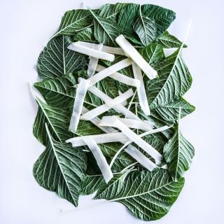 White Beauty Amaranth leaves with thin sliced white stems on a light background.