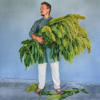 The Baker Creek Garden manager rocking a green tunic while holding about 40 pounds of Aurelia's Verde Amaranth.