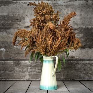 A floral arrangement of Golden Giant Amaranth in a tall tan pitcher against a weathered wood background.