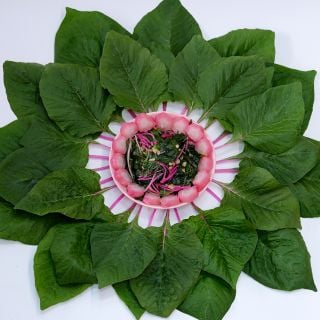A dish of sauteed Pink Beauty Amaranth leaves and stems surrounded by leaves.