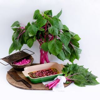 Pink Beauty Amaranth backed in dish with stems in a vase and leaves on the side.