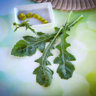 Wasabi Arugula leaves on a green and blue tabletop with wasabi in white bowl.