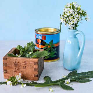 Wasabi Arugula blossoms in blue vase