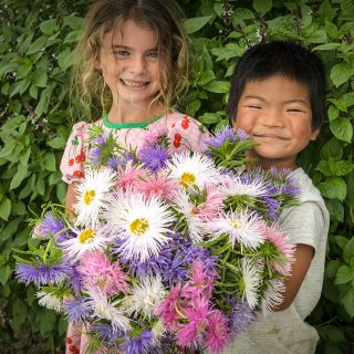 Malia and Cyan holding a freshly picked bouquet of Star Pastel Mix Aster flowers.