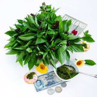 Siam Queen Thai Basil in an arrangement with A Thai magazine and money and basil cavier on a cracker.
