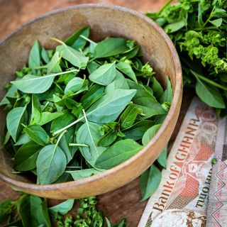 Akoko Mesa Basil leaves in wooden bowl with money from Ghana.