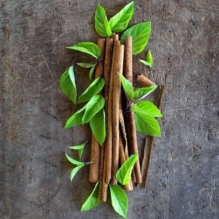 Cinnamon Basil with cinnamon sticks on a wooden background.