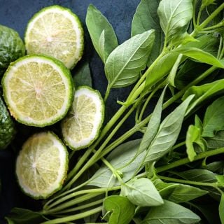 Lime Basil leaves surrounding limes on a jade background.