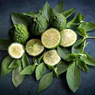 Lime Basil with limes arranged on a jade background.