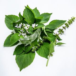 Lime Basil Leaves in small crystal bowl with flowers arranged on a white background.