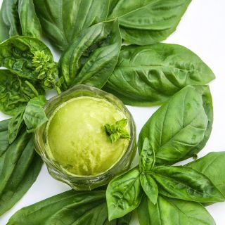 Mammalo Basil with a small crystal dish of basil sorbet.