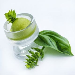 A side angle of frosted bowl of Mammolo Basil sorbet with a leaf on a white background.
