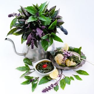 An arrangement of Persian Basil in a teapot with basil honey on ice cream.