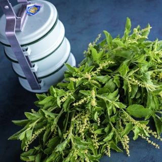 A bouquet of Thai Holy Kaprao Basil with a Thai lunchbox on a jade background.