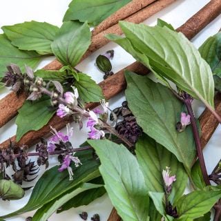 A close-up view of Cinnamon Basil blooms and leaves with cinnamon sticks.