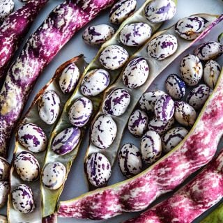 Close-up of Autumn Zebra Beans in dried pods.