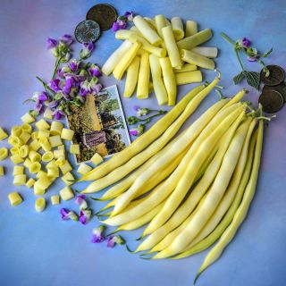 Chopped , cut and whole Beurre De Rocquencourt Beans with French props on bright blue background.