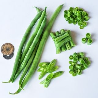 An overhead view of whole, sliced and cut Jade Bush Beans on a white background.