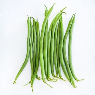 A row of fresh Jade Bush Beans arranged on white background.