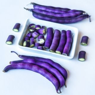 Cut Purple Dove Bush Beans in white dish surrounded by whole and cut beans.