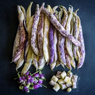 Dragon Tongue Beans with a pile of pink blooms and another pile of cut beans on a dark background.