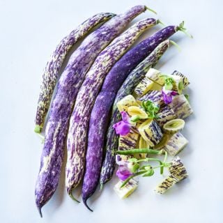 A detail of whole and cut Dragon Tongue Beans with blooms on white background.