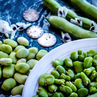 Cooked and raw Broad Windsor Fava Beans on a blue and white marbled background.