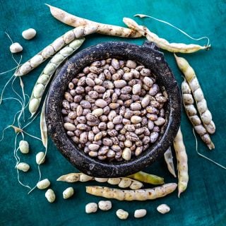 Greasy Grits Beans in the dried stage in a bowl on teal colored background.