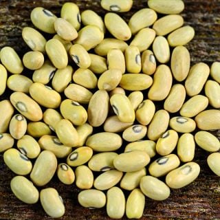 A pile of Hutterite Soup Bush Beans on a wooden background.