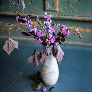 A vase with vines, flowers, Moonshadow Hyacinth Beans and colorful foliage arranged in vase.