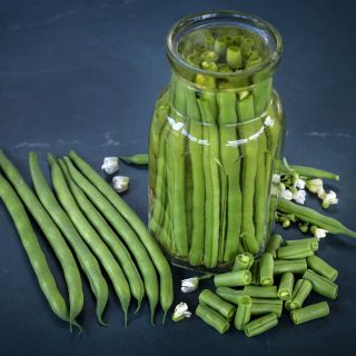 Canned and fresh Jade Bush Beans with blooms on a jade colored background.