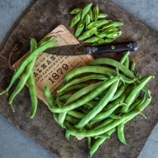 Landreth Stringless Beans with a vintage Farmer's Almanac and knife on a wooden cutting board.