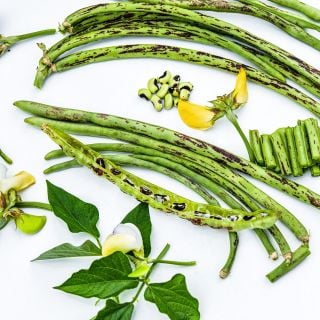 Sliced and whole Thai Soldier Long Beans with flowers on white background.