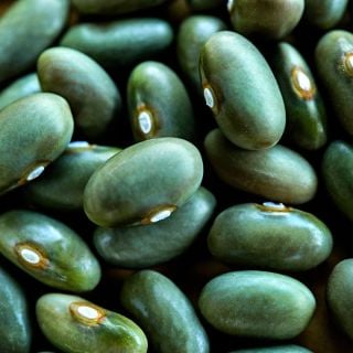 A close-up macro view of dried Mbombo Green Beans.