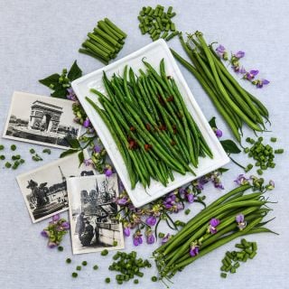 Cooked and raw Nautica Dwarf Beans with blooms arranged on a linen background with French postcards.