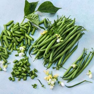 Cut and whole Opera Beans arranged on a light blue background with blooms.