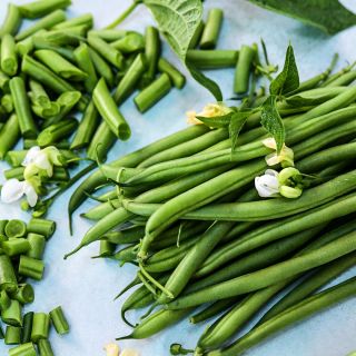 A close-up of Opera Beans on a light blue background topped with blooms.
