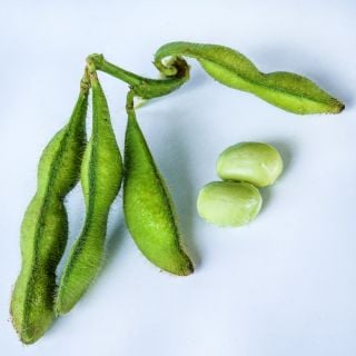 A close-up view of four Chiba Green Soybeans with two shelled beans on a white background.