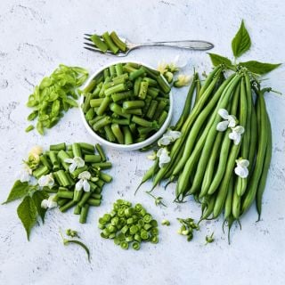 Overhead angle view of Odeon Bush Beans surrounding a bowl of cooked beans with blooms and leaves.