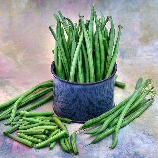 Nautica Dwarf Beans beans in metal tin surrounded by cut and whole beans.