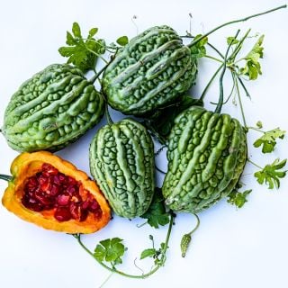 Cut and whole Big Top Bitter Melons arranged with seeds and foliage on a white background.