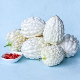 Pearl Goya Bitter Melons with seeds on a light blue background.