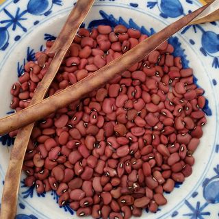 Red Ripper Cowpea beans in blue and white bowl.